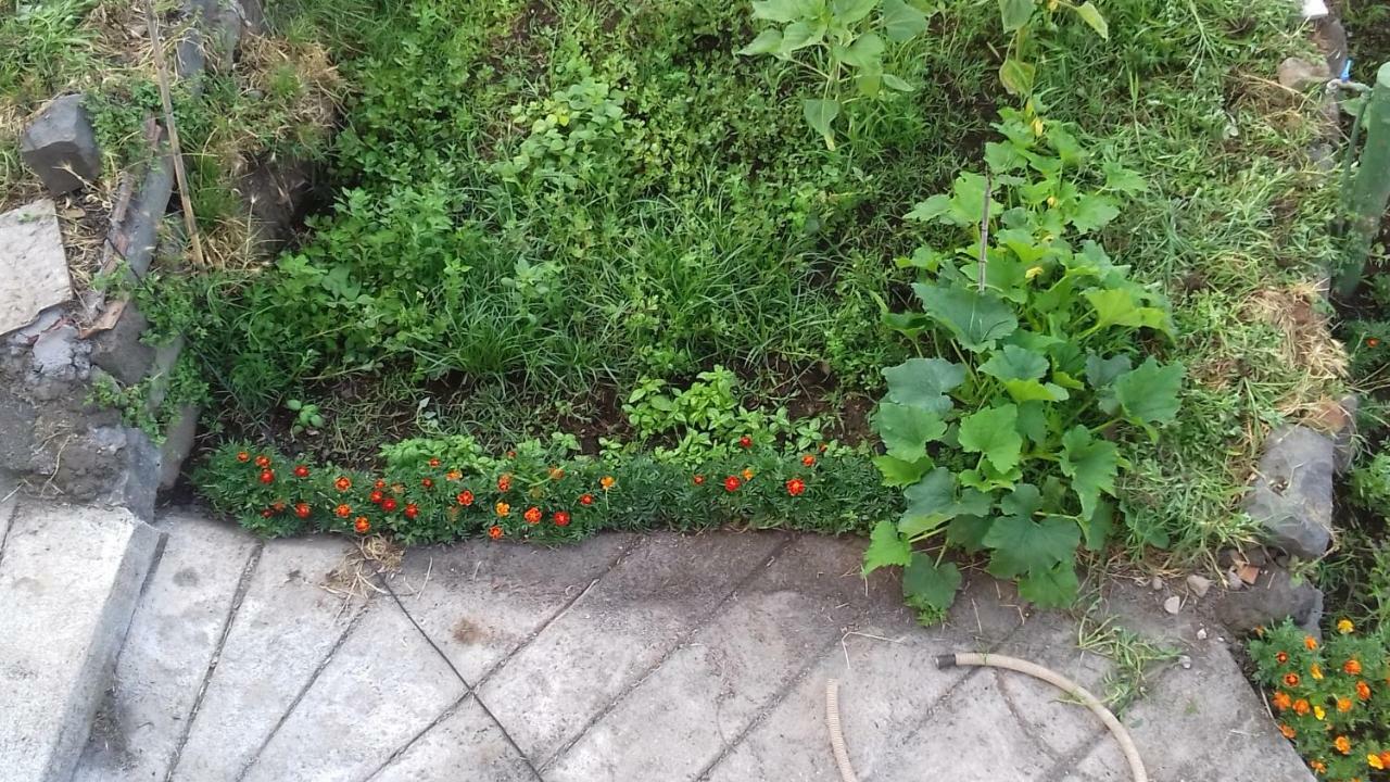 vecchio forno Villa Puntalazzo Esterno foto