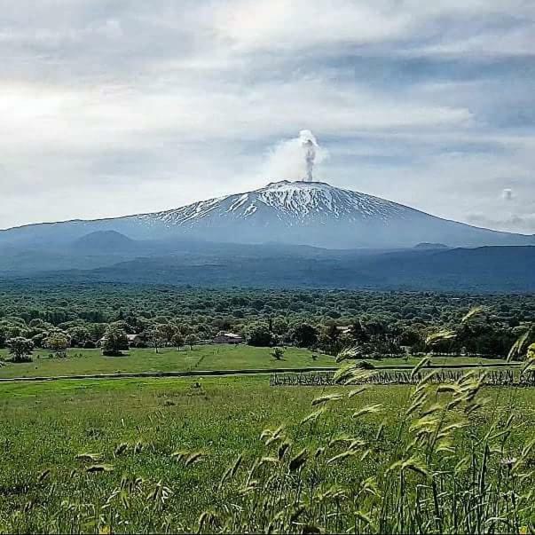 vecchio forno Villa Puntalazzo Esterno foto